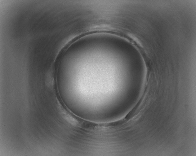X0000070161458200605261117