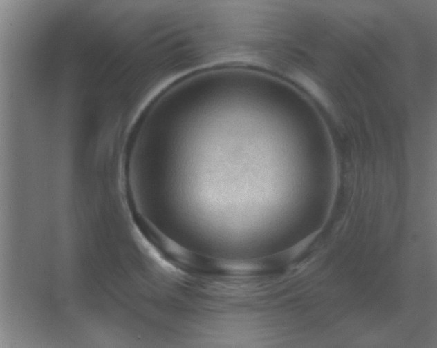 X0000070161468200605261117