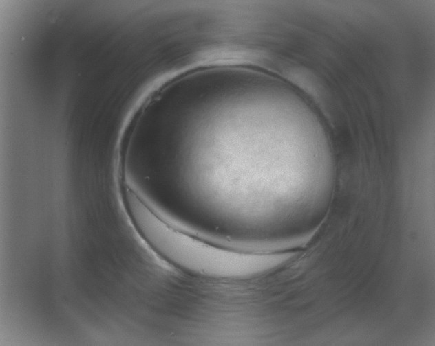 X0000070161472200605261117