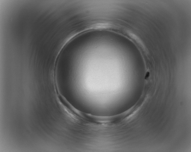 X0000070161473200605261117
