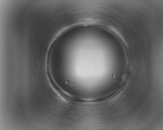 X0000070161477200605261117