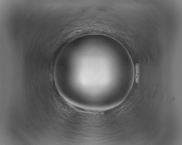 X0000070161491200605261116