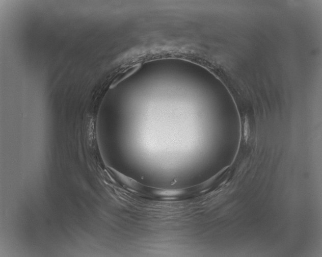 X0000070161492200605261116