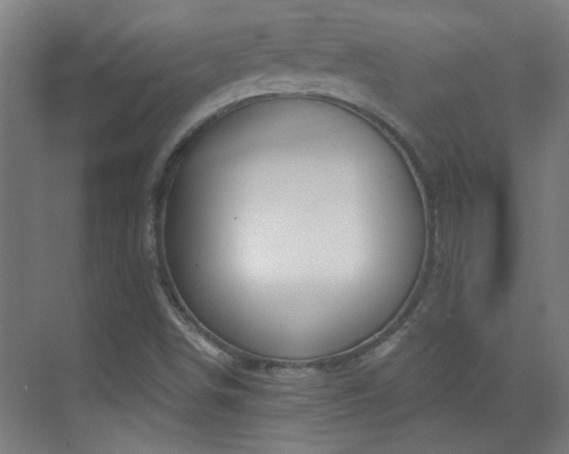 X0000070161498200605261116