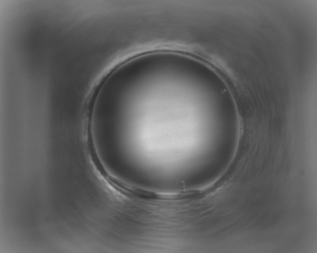X0000070161504200605261116