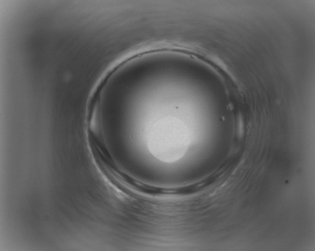 X0000070161508200605261116