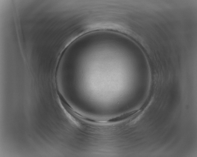 X0000070161521200605261116