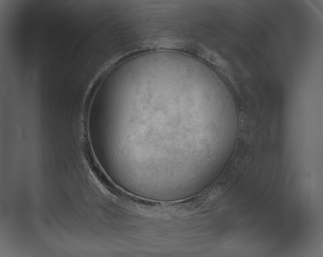 X0000070160012200605301311
