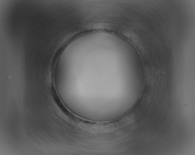 X0000070160016200605301311