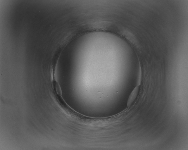 X0000070160021200605301311