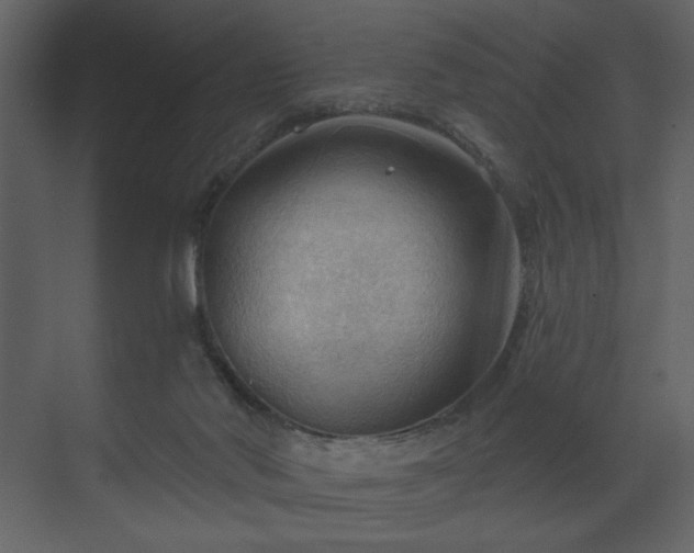 X0000070160022200605301311