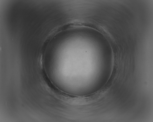 X0000070160024200605301311