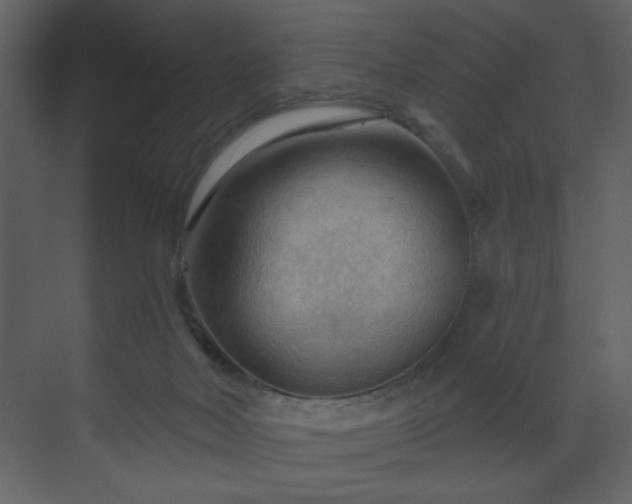 X0000070160026200605301311