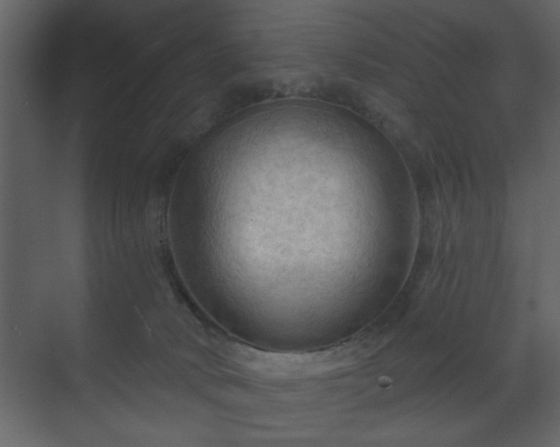 X0000070160034200605301311