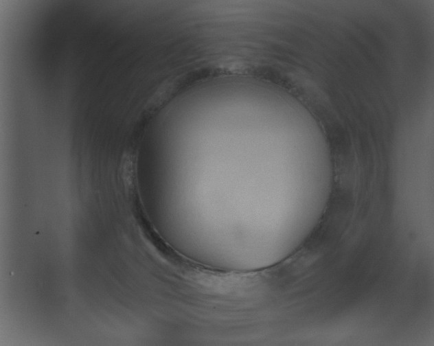 X0000070160036200605301311