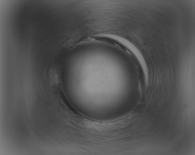 X0000070160039200605301311
