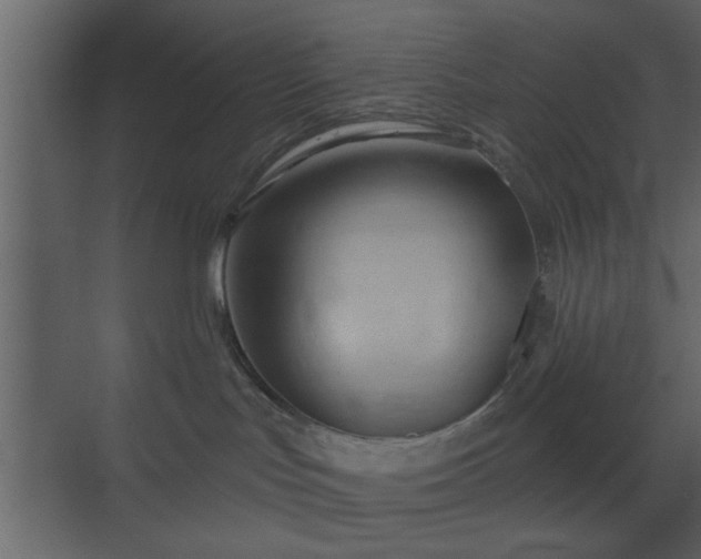 X0000070160047200605301311