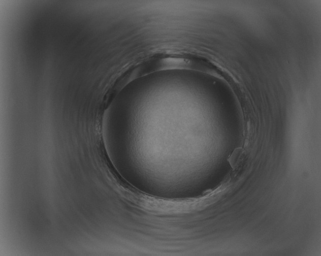 X0000070160048200605301311