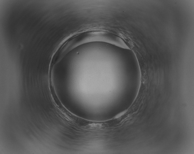 X0000070160052200605301310