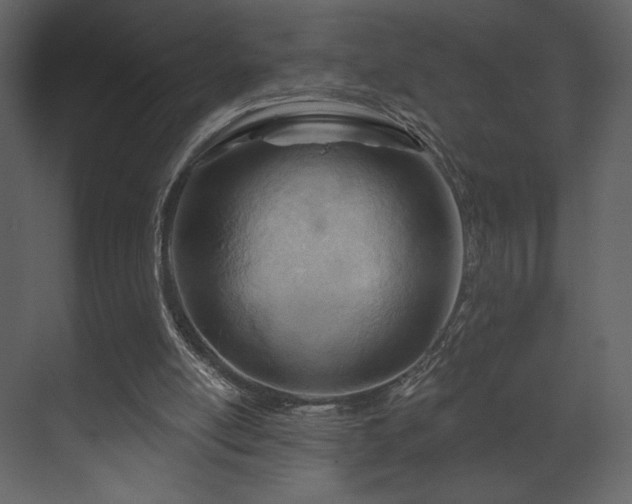 X0000070160054200605301310