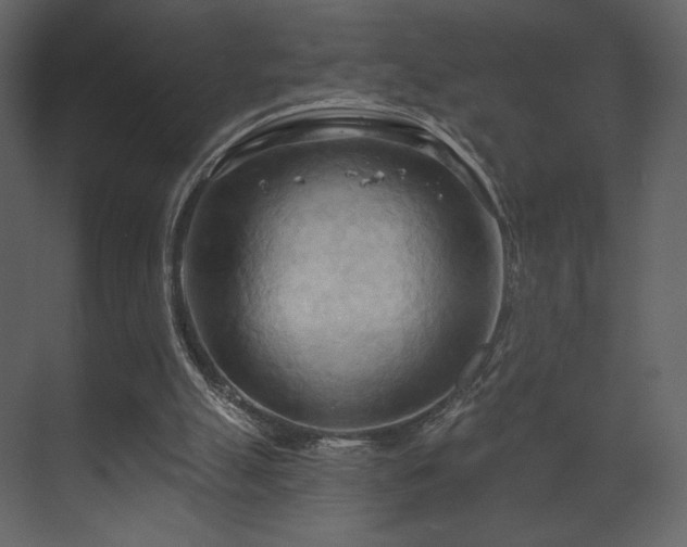 X0000070160055200605301310