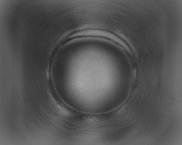 X0000070160062200605301310