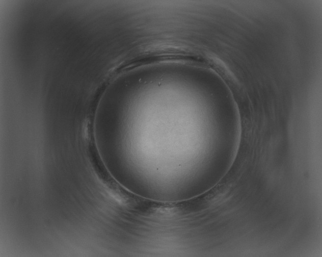 X0000070160071200605301310