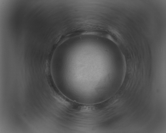X0000070160077200605301310