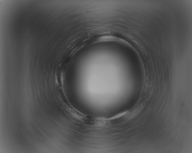 X0000070160096200605301311