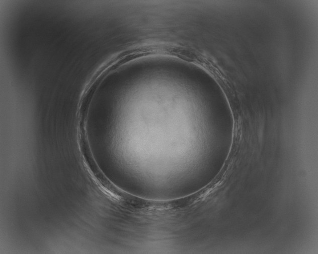 X0000070160101200605301310