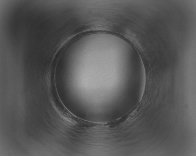 X0000070160108200605301310