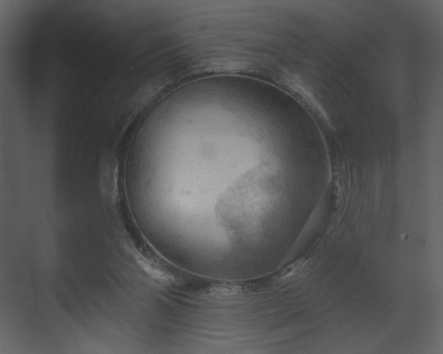 X0000070160110200605301310