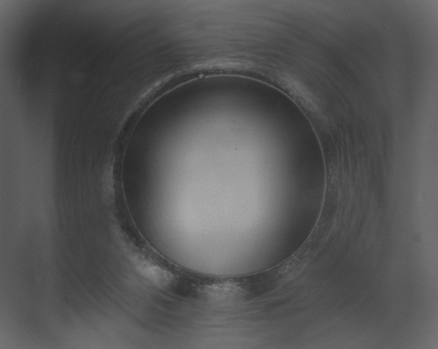X0000070160112200605301310