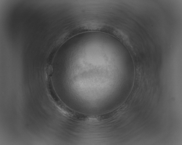 X0000070160114200605301309