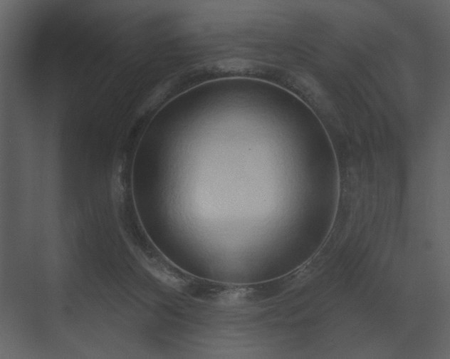 X0000070160116200605301309