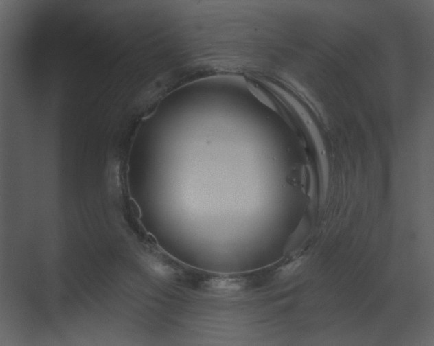 X0000070160117200605301309