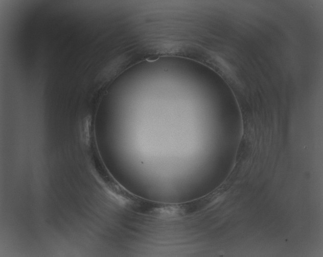 X0000070160118200605301309