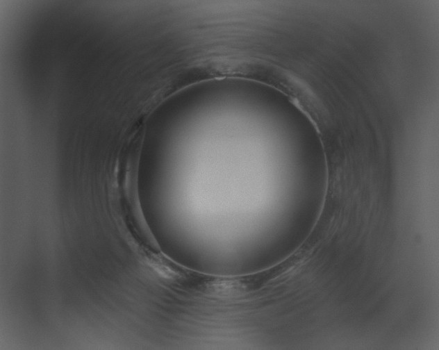X0000070160121200605301309