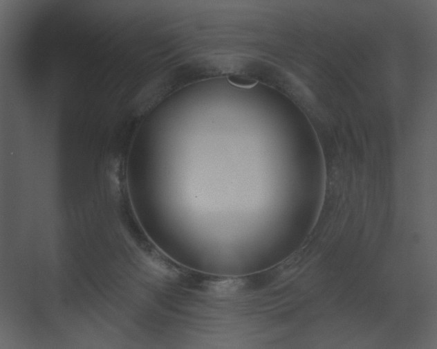 X0000070160122200605301309