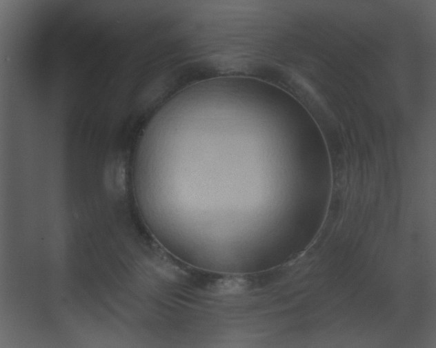 X0000070160124200605301309