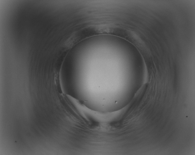 X0000070160125200605301309