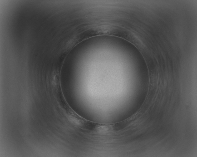 X0000070160126200605301309
