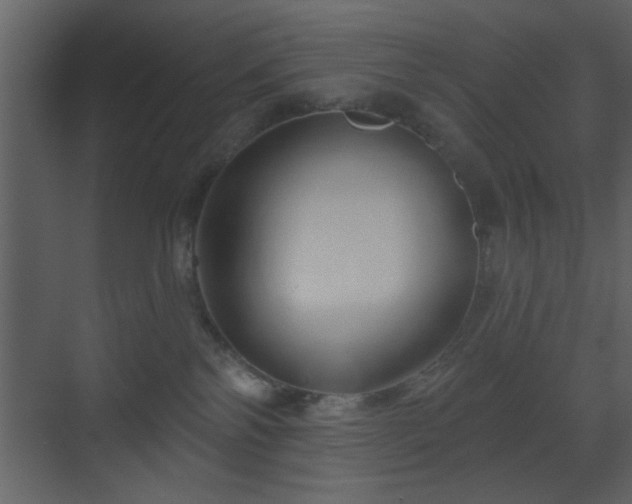 X0000070160138200605301309