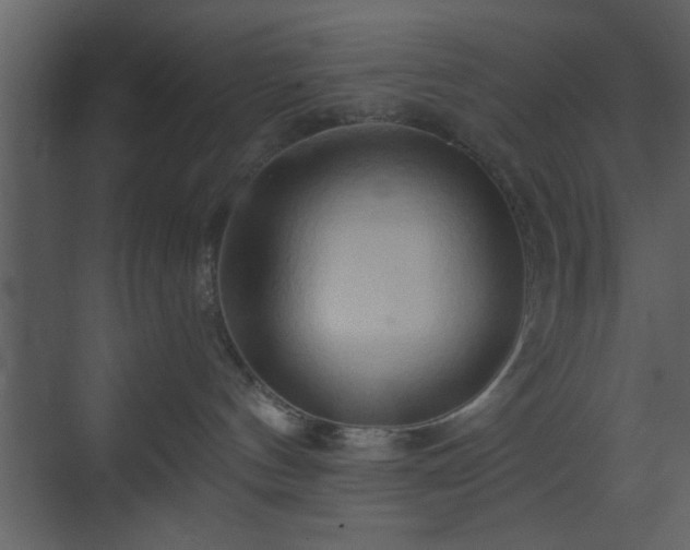 X0000070160144200605301309