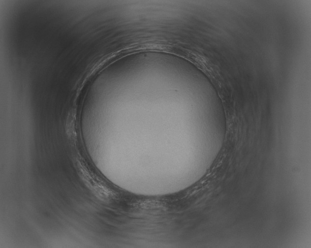 X0000070160146200605301308