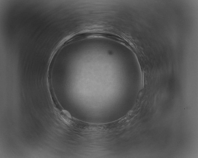 X0000070160147200605301308