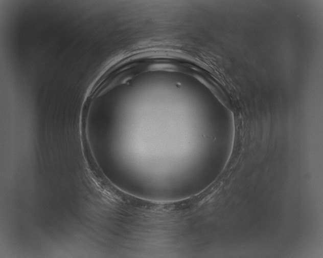 X0000070160148200605301308