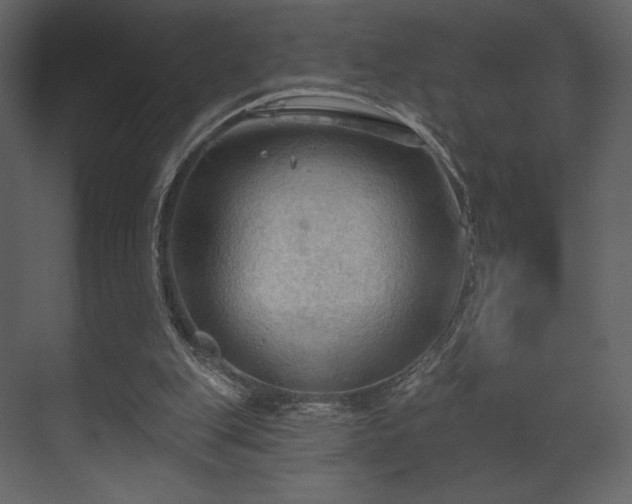 X0000070160151200605301308