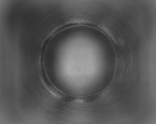 X0000070160159200605301308