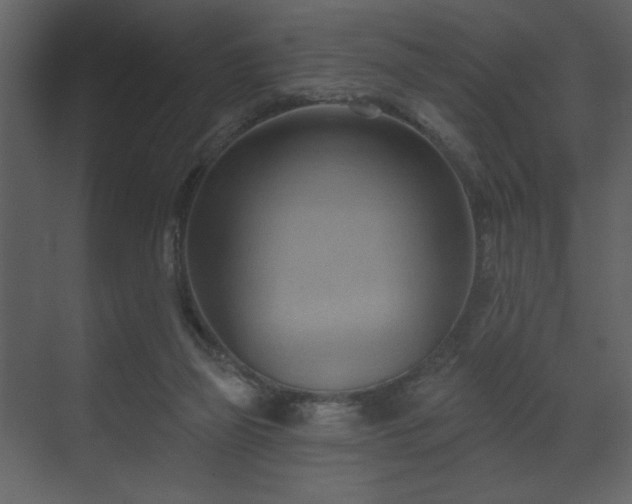 X0000070160165200605301309